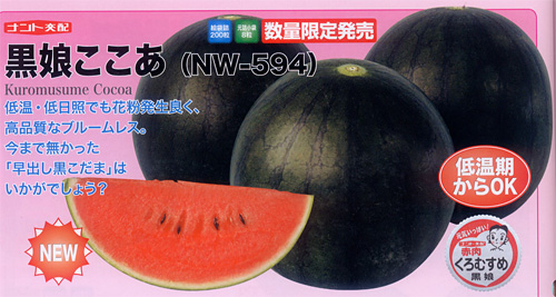 黒娘ここあ 西瓜 22年今期品切れ E 種や 国内最大級の野菜種 花種 苗 農業資材の販売店