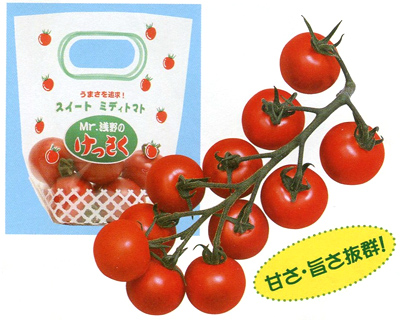 Mr.浅野のけっさく[トマト] - e-種や｜国内最大級の野菜種・花種・苗