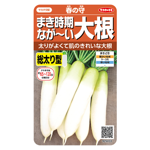 春の守[大根] - e-種や｜国内最大級の野菜種・花種・苗・農業資材の販売店