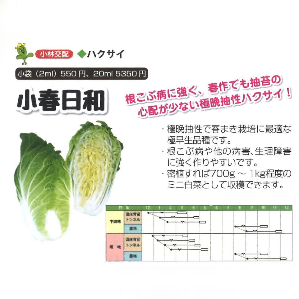 小春日和 白菜 E 種や 国内最大級の野菜種 花種 苗 農業資材の販売店