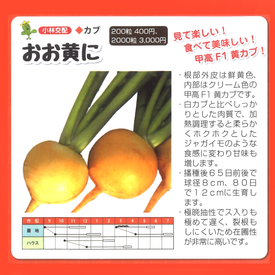 おお黄に カブ E 種や 国内最大級の野菜種 花種 苗 農業資材の販売店