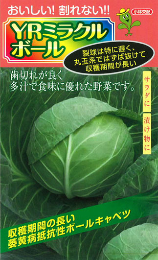 ミラクルボール キャベツ E 種や 国内最大級の野菜種 花種 苗 農業資材の販売店