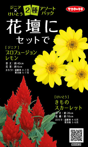 ジニア けいとう 花壇にセットで アソートパック E 種や 国内最大級の野菜種 花種 苗 農業資材の販売店