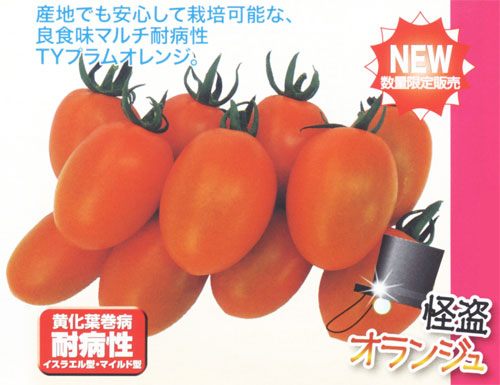 怪盗オランジュ ミニトマト E 種や 国内最大級の野菜種 花種 苗 農業資材の販売店