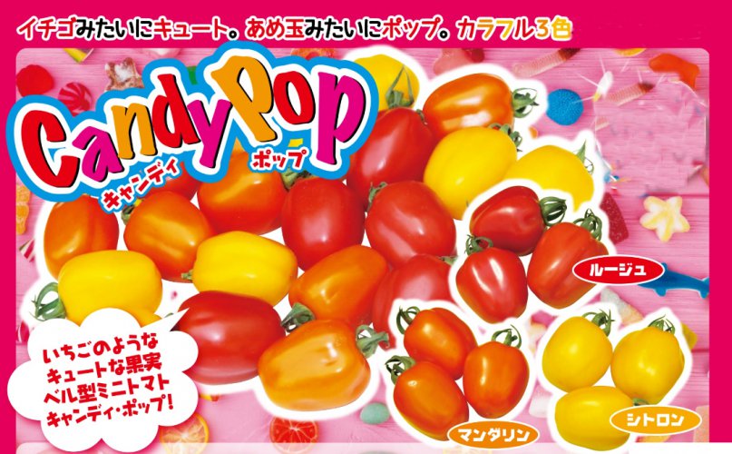 キャンディポップ ミニトマト E 種や 国内最大級の野菜種 花種 苗 農業資材の販売店