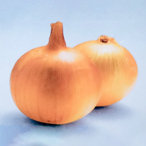 015857_6880917199118.jpg