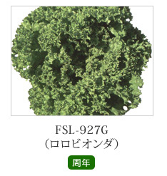 FSL-927G（ロロビオンダ）