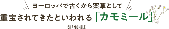 ヨーロッパで古くから薬草として重宝されてきたと言われる「カモミール」