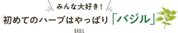 みんな大好き！ 初めてのハーブはやっぱり「バジル」