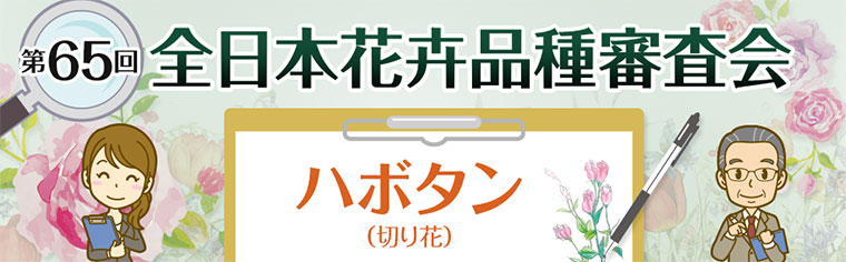 第65回 全日本花き品種審査会 ハボタン