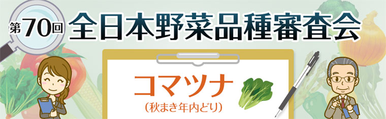 第70回 全日本野菜品種審査会 コマツナ