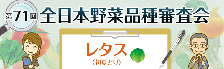 第71回 全日本野菜品種審査会 レタス
