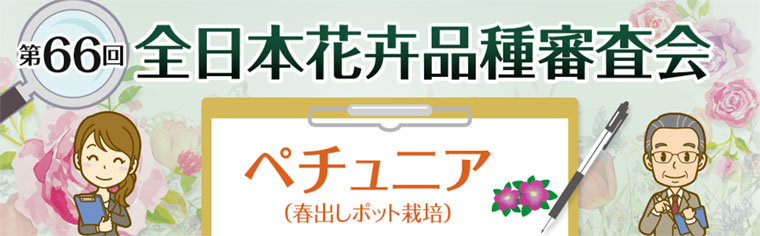 第66回 全日本花卉品種審査会 ペチュニア