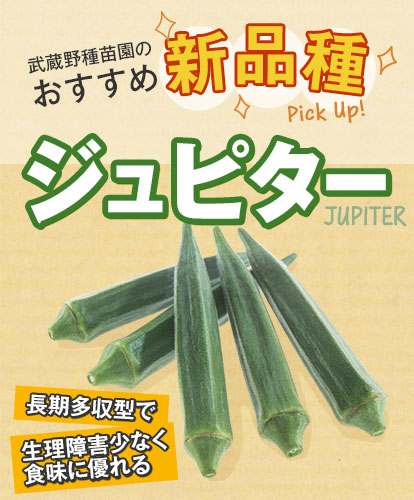 武蔵野種苗園のおすすめ新品種 ジュピター