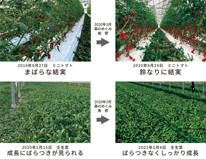 2020年3月 使用例